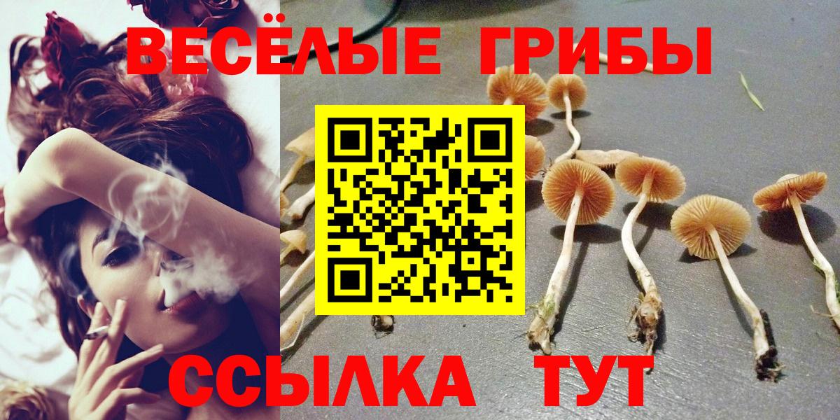 Галлюциногенные грибы ЛСД  Вход с VPN  Томск 